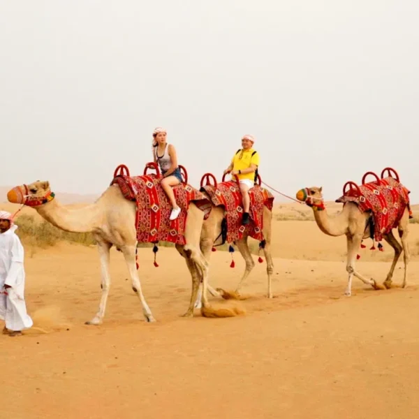 Dubai Morning Desert Safari On Private Basis