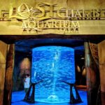 Atlantis Lost Chamber Entry Ticket with Pick up and Drop Off