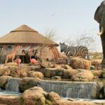Safari Park Pass with Train Ride by Explorer Safari Tour Guide & Entry Ticket with Pick up and Drop Off
