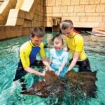 Aquaventure Water Park Dubai With Lost Chamber Entry Ticket with Pickup and Drop Off