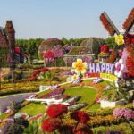 Butterfly Garden Entry Ticket with Pick up and Drop Off